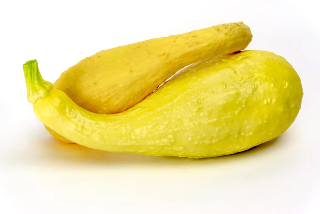 Crook Neck Zucchini [ 400g ]