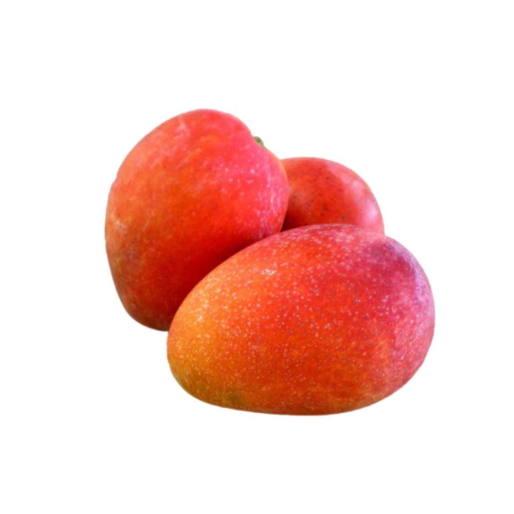 Munda Irwin Mango [ 1 Pac ]