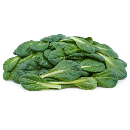 تاتسوى [ قطعه ]