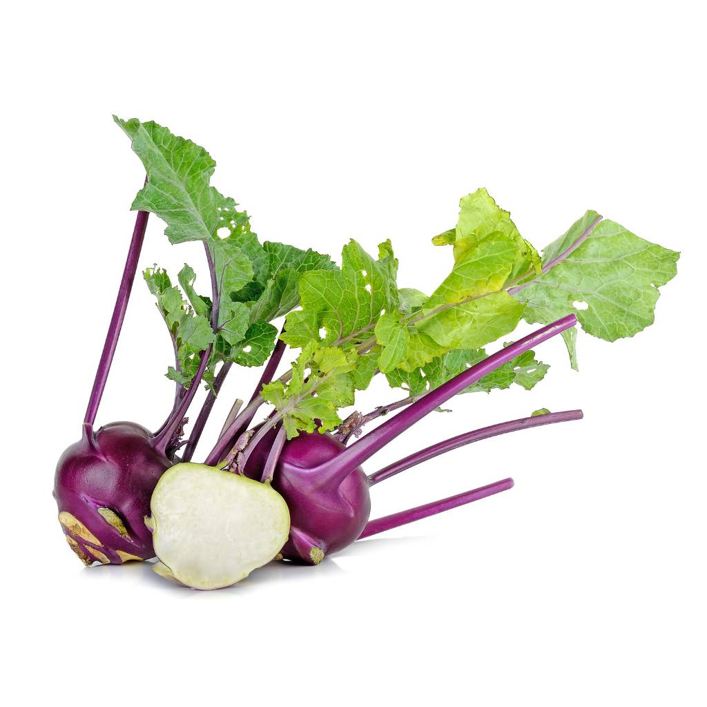 Purple Kohlrabi [ Head ]