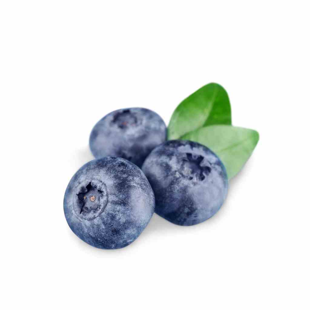 Munda Blueberry [ 1 Pac ]