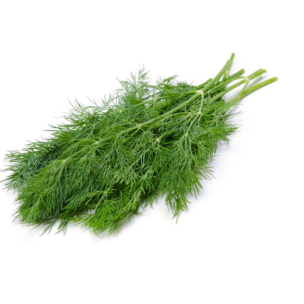 Dill [ 100g ]