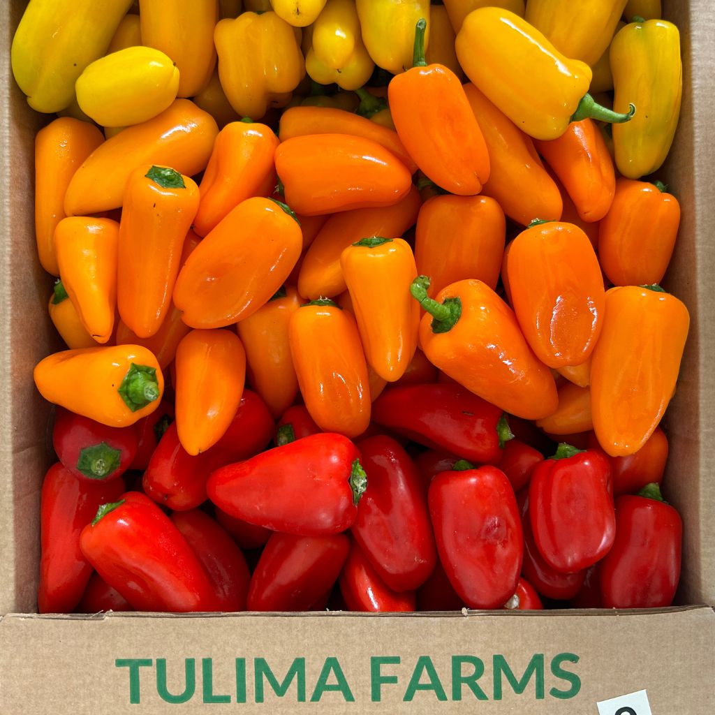 Snack Pepper Mix [ 200g ]