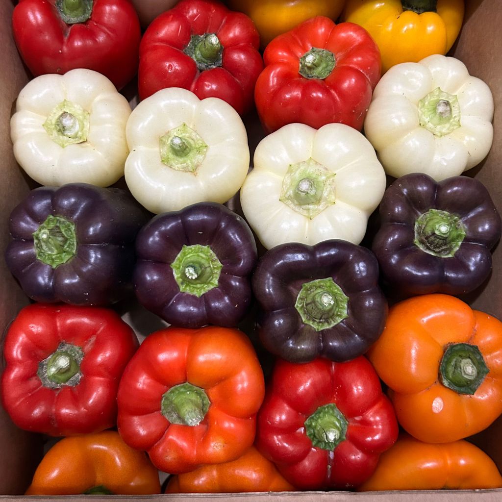 Bell Pepper Mix [ 400g ]