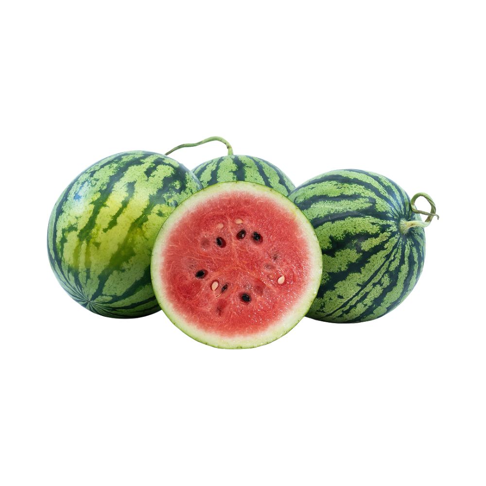 Mini Red Watermelon [ Head ]