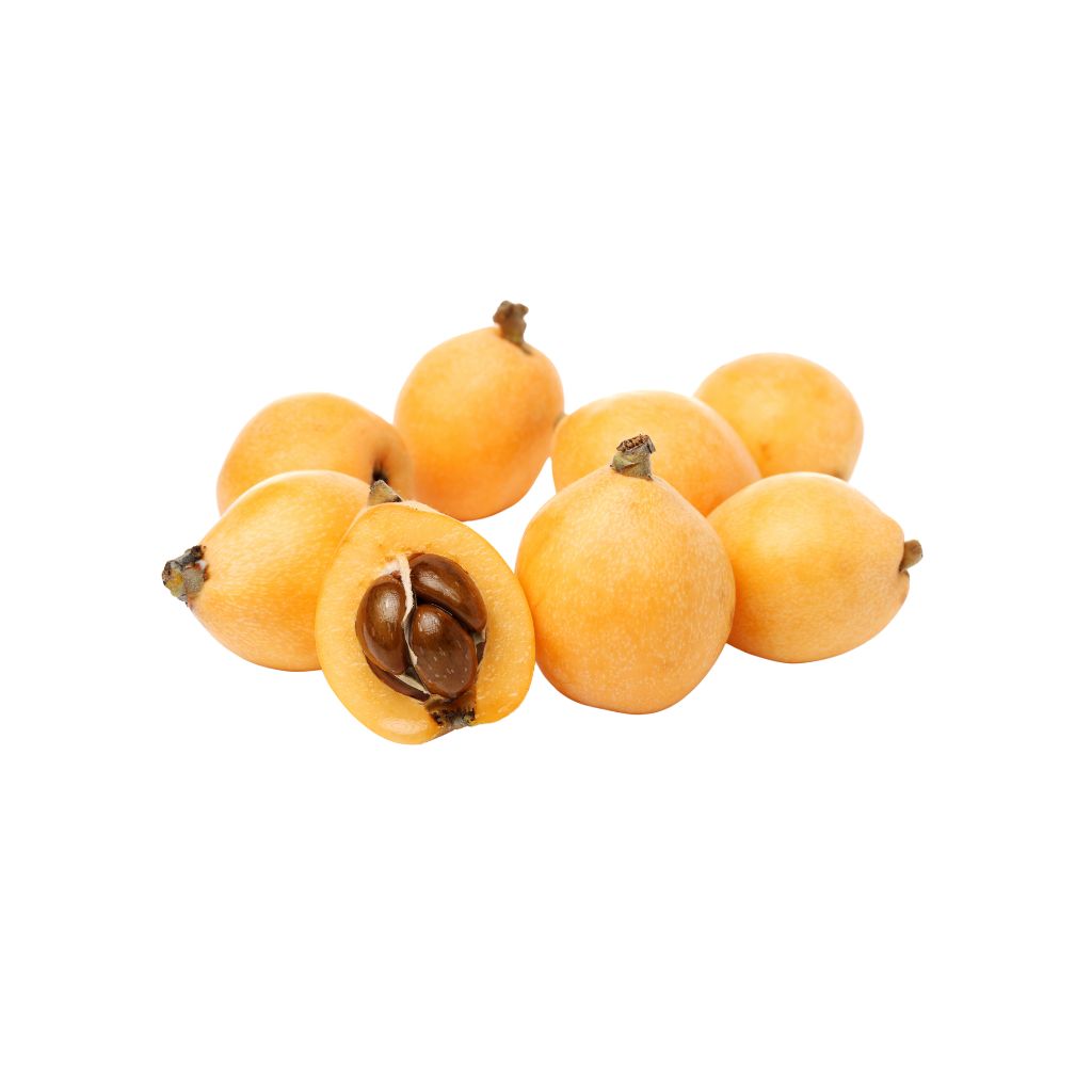 Munda Loquat [ 1 Pac ]