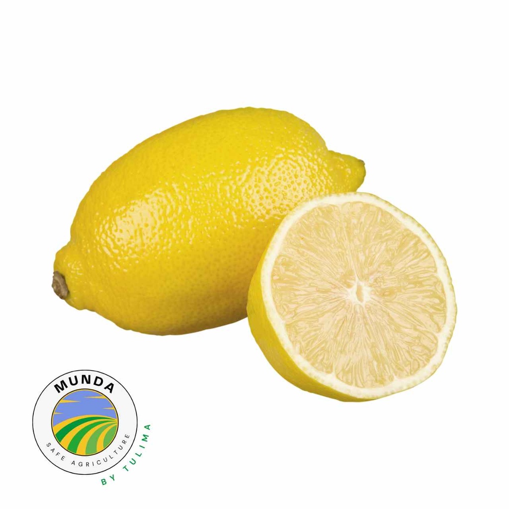 Munda Seedless Genoa Lemons [ 1 Pac ]