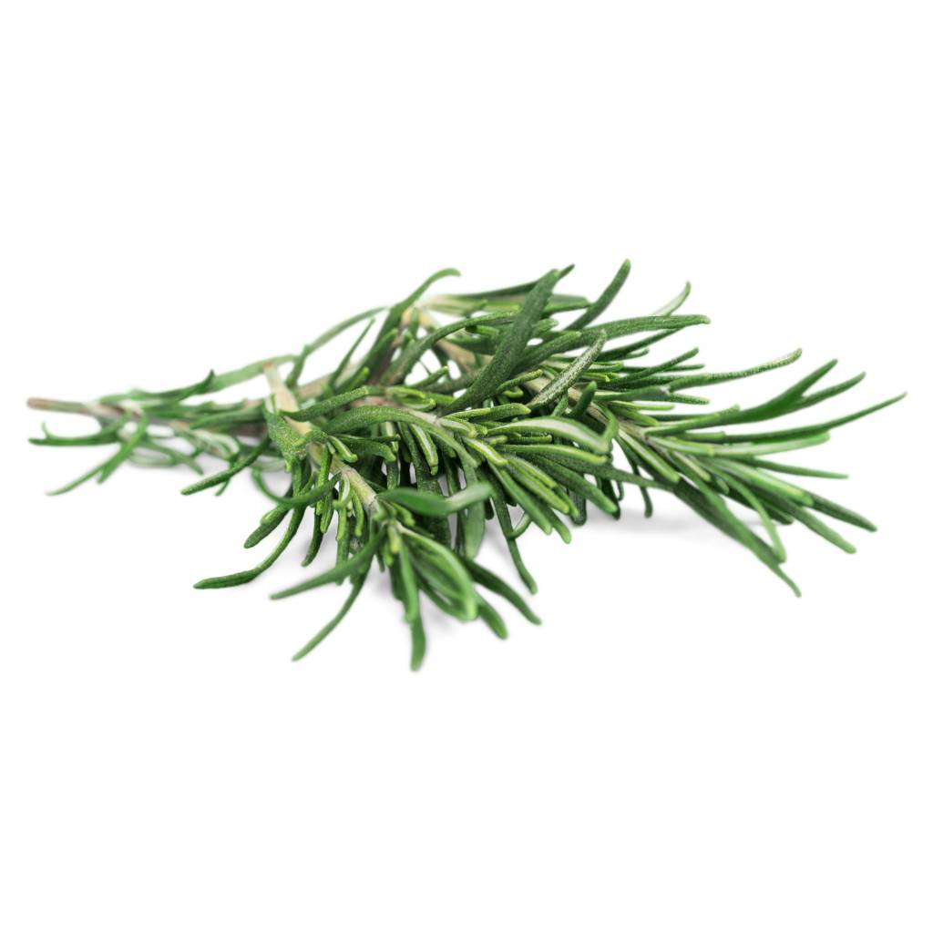 Rosemary [ 50g ]