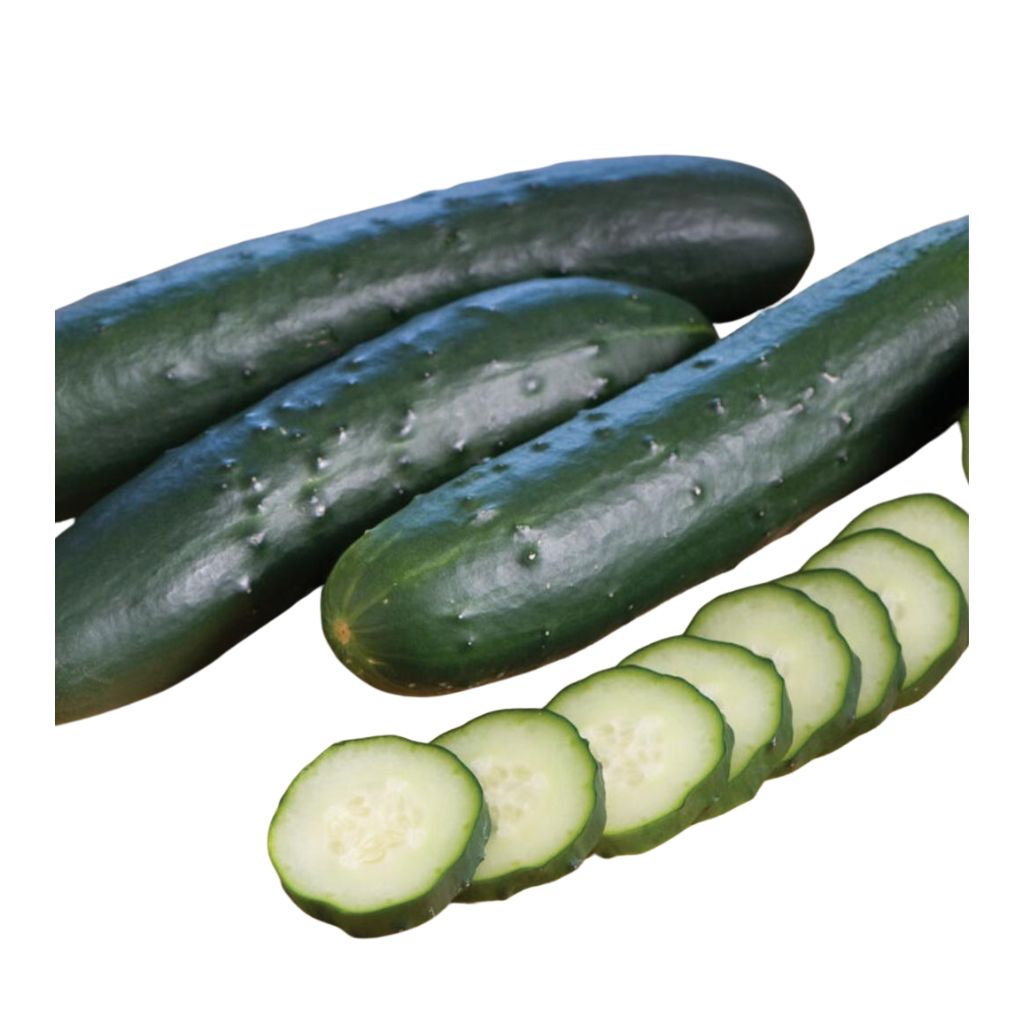 Crunchy Chicago Cucumber [ 400g ]