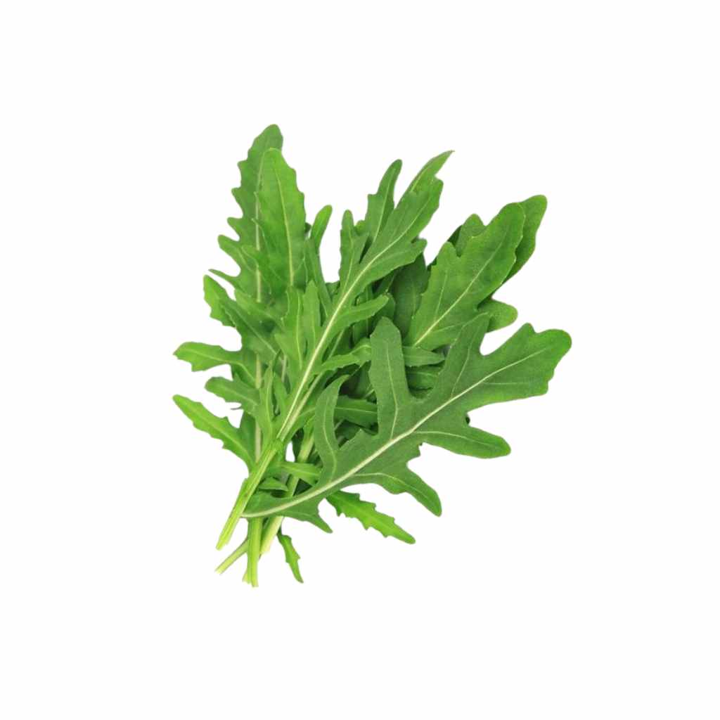 French Rocket [ 100g ]