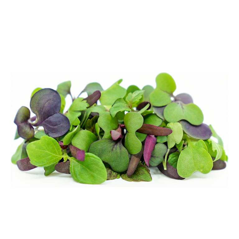 Microgreen Mix - Plate