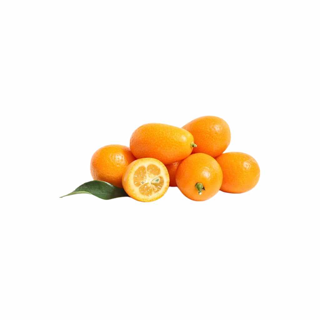 Munda Kumquat [ 1 Pac ]