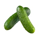 Pickling Cucumber [ 500g ]