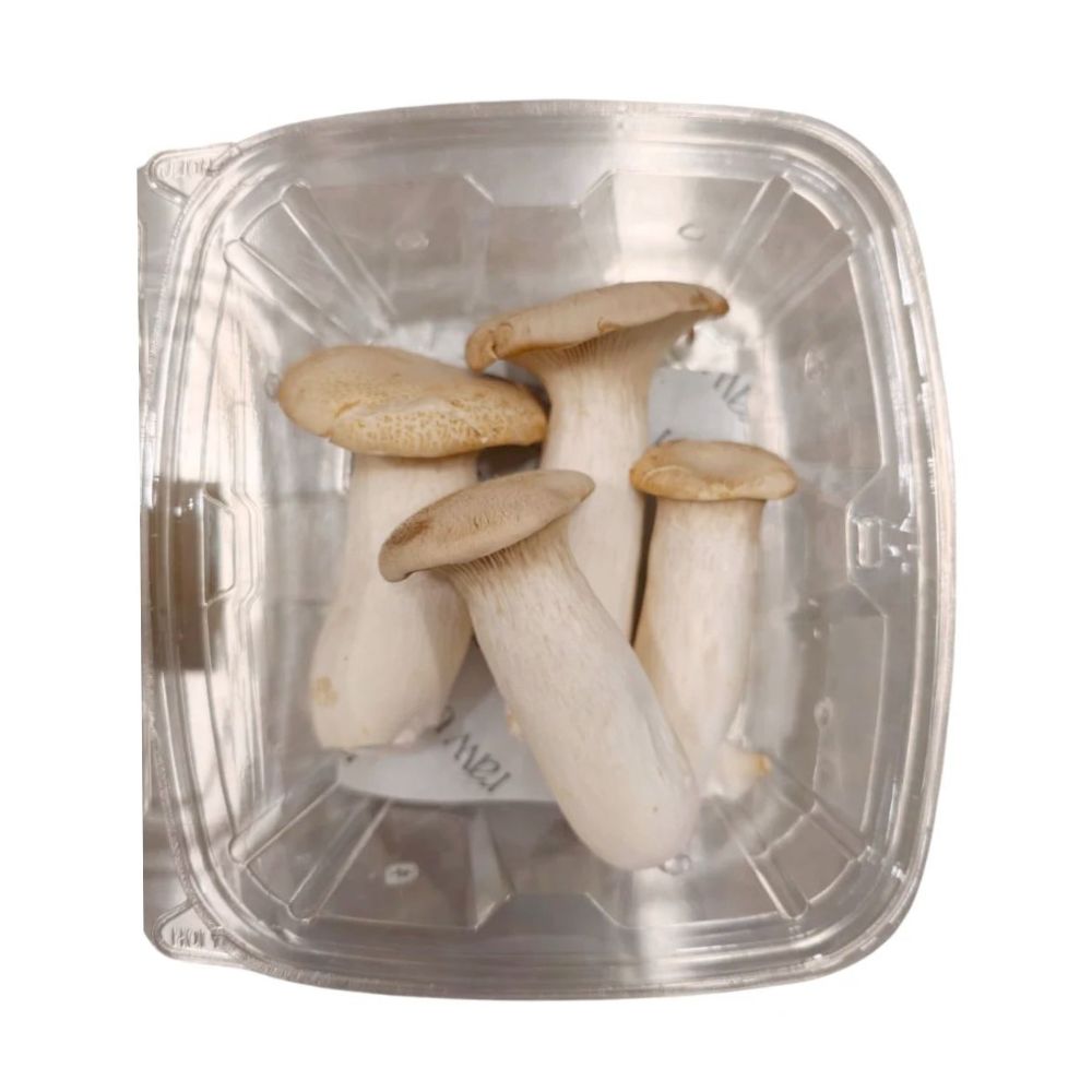 Raw Urth Fresh King Oyster Mushroom [ 200g ]