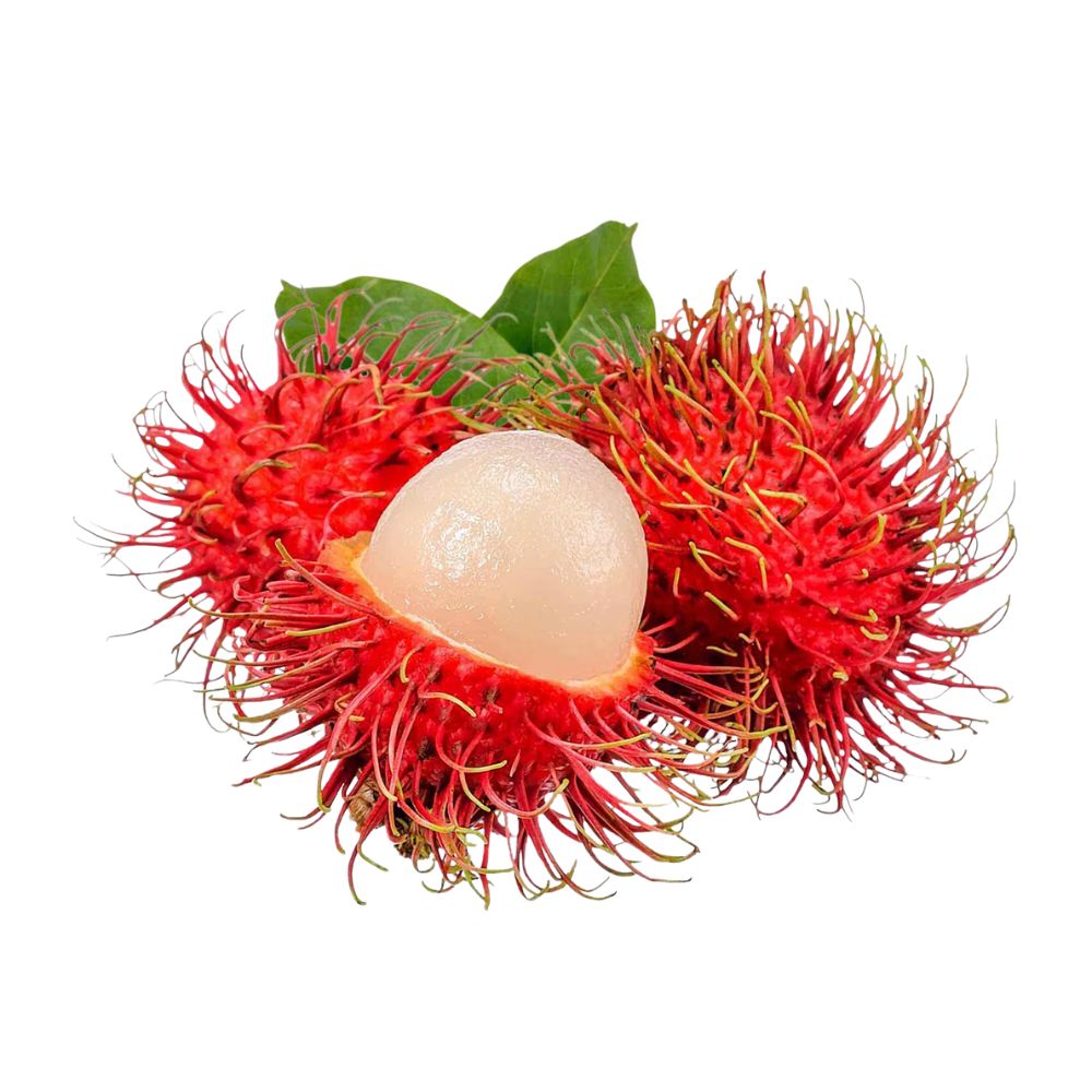 Munda Rambutan [ 1 Pac ]