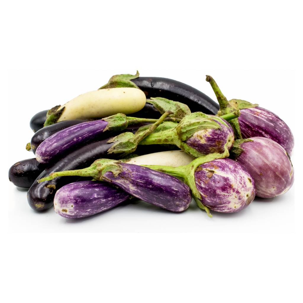 Long Aubergine Mix[ 500g ]