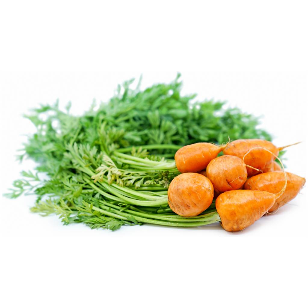 Baby Parisian Carrots [ 200g ]