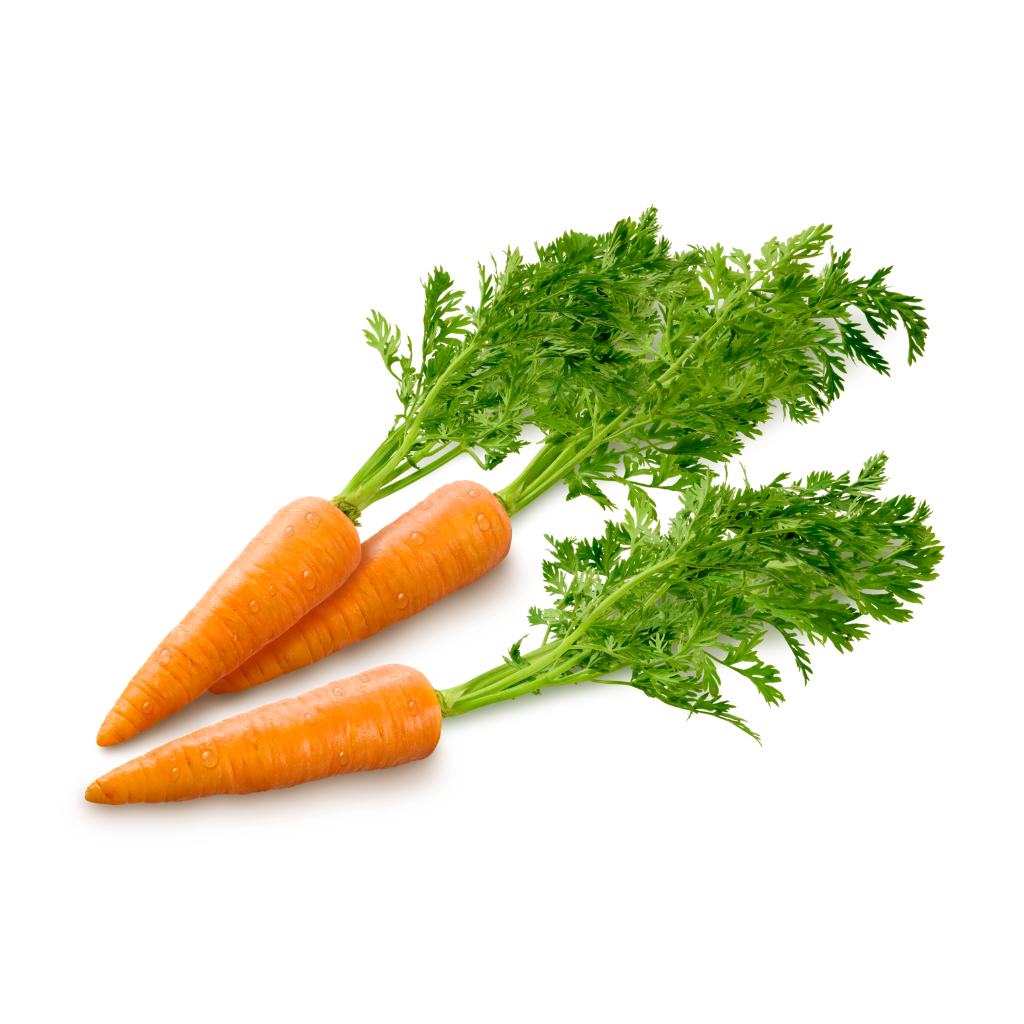 Orange Carrot Big [ 400g ]