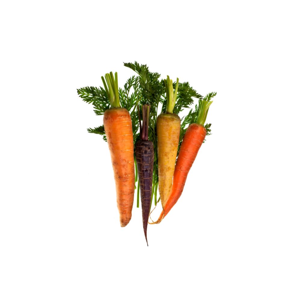 Colorful Big Carrots [500g]