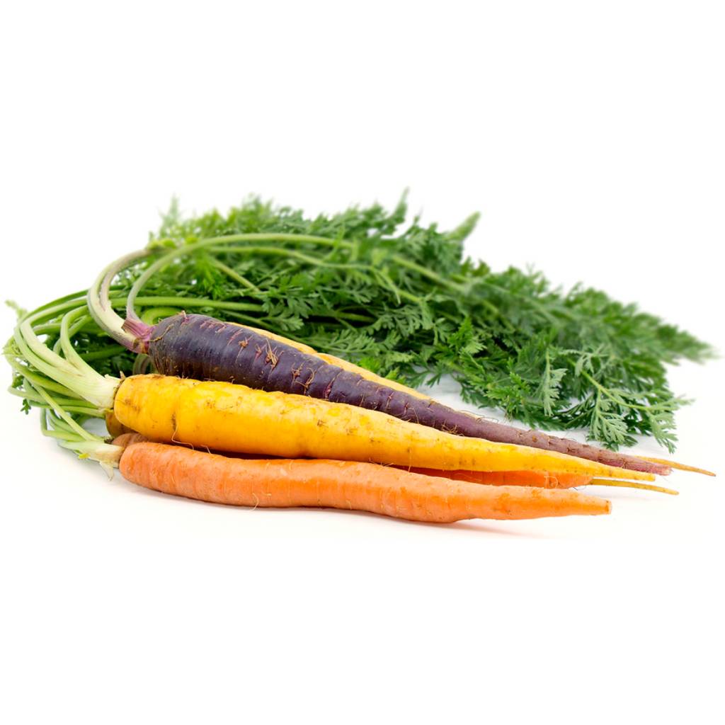 Big Colorful Carrots Mix [ 400g ]