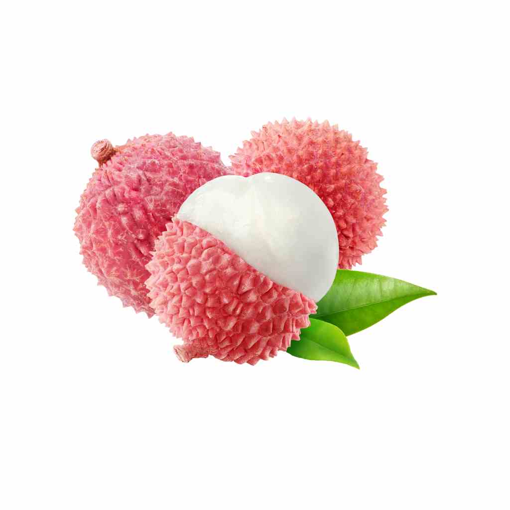 Munda Lychee [ 1 Pac ]