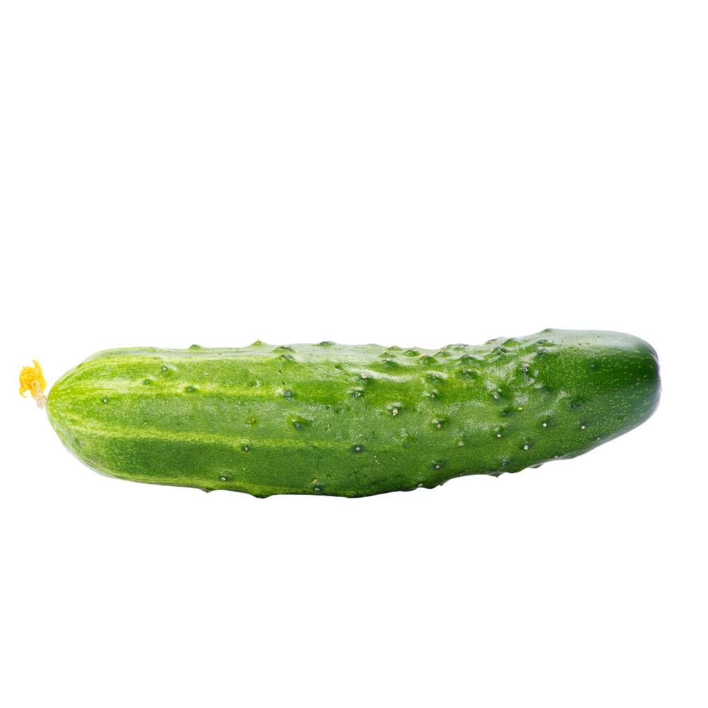 Crunchy Chicago Cucumber [ 1kg ]