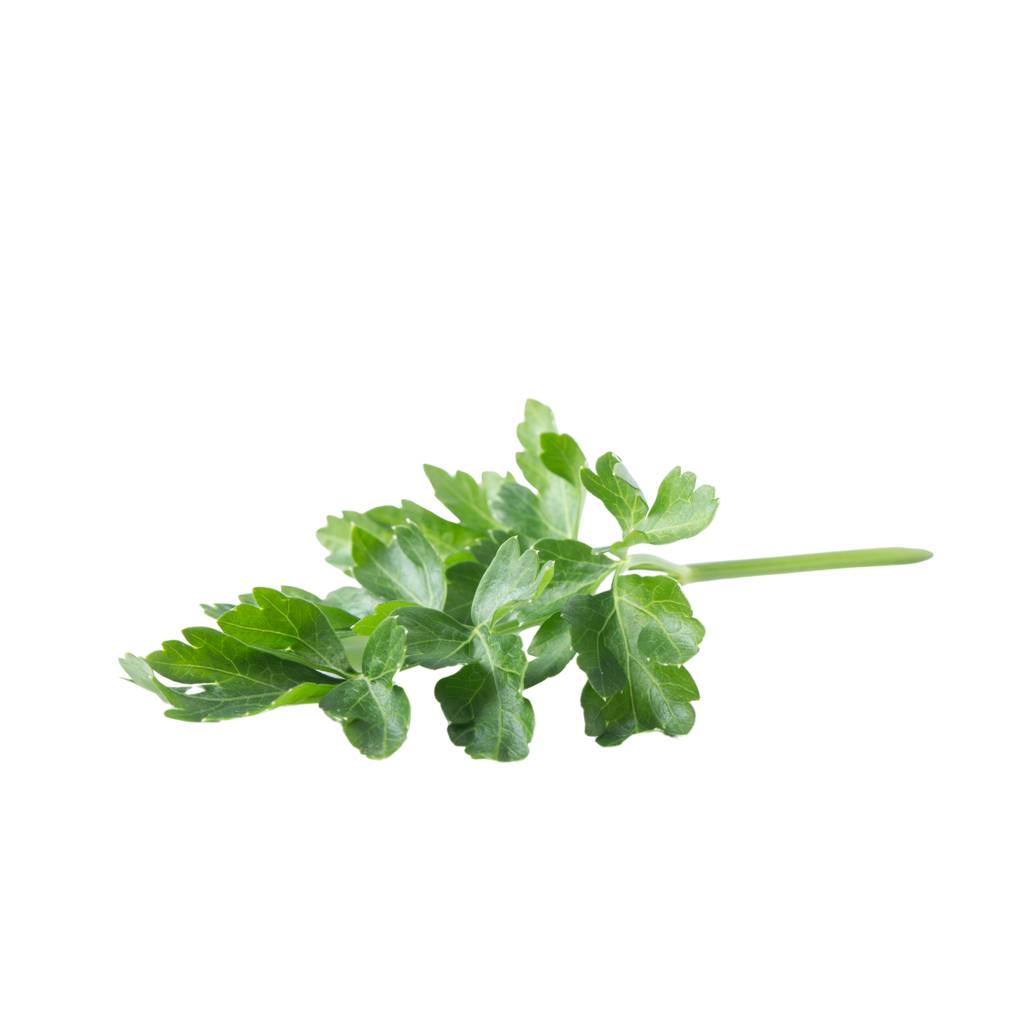 Celery Leaf [ 125g ]