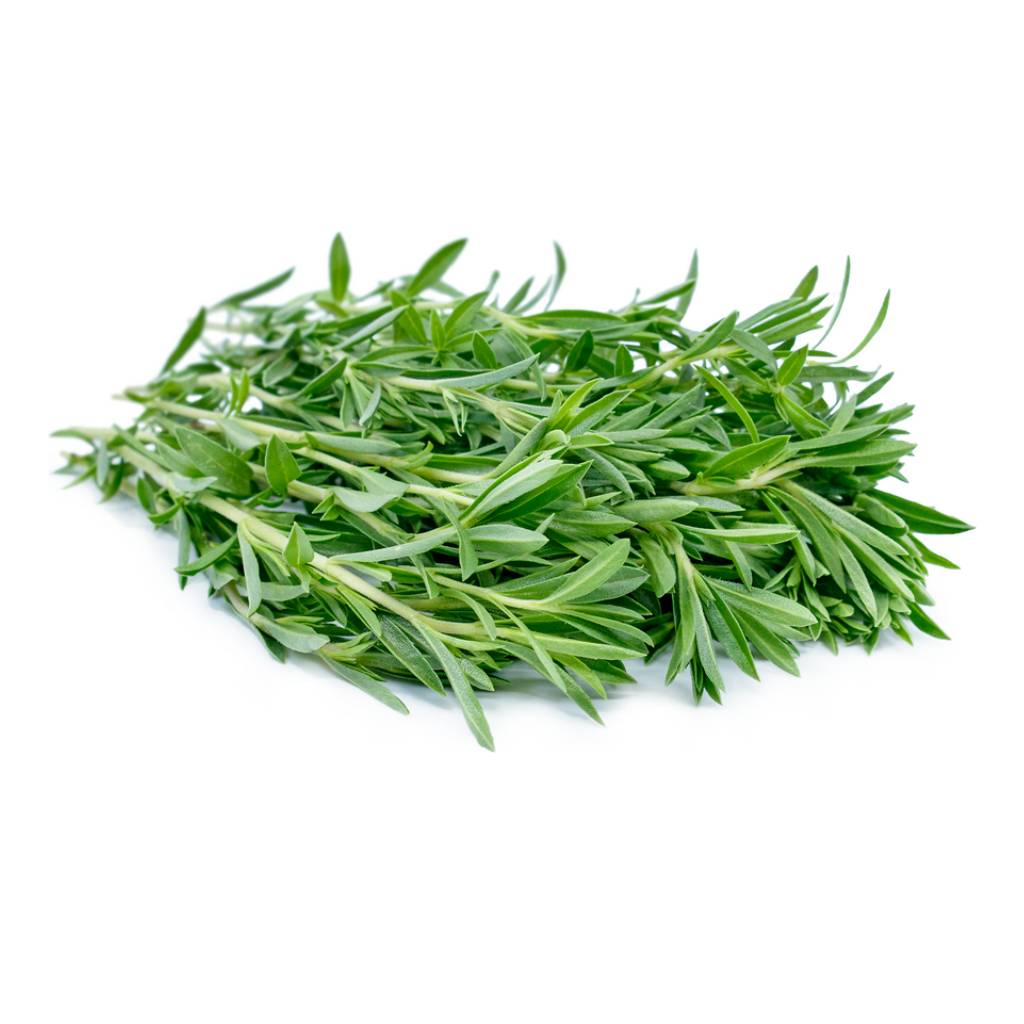 Pepper (Savory) Herb [ 50g ]