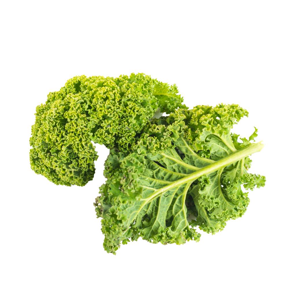 Curly Kale [ 100g ]