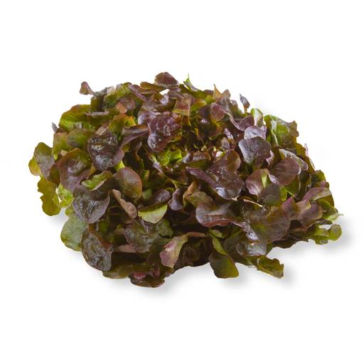 Oakleaf Red [ 1Kg ]