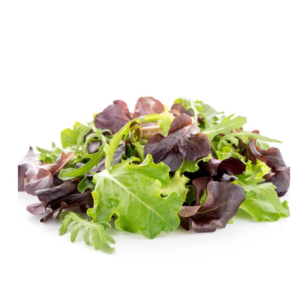 Crunchy Lettuce Mix [ 125g ]