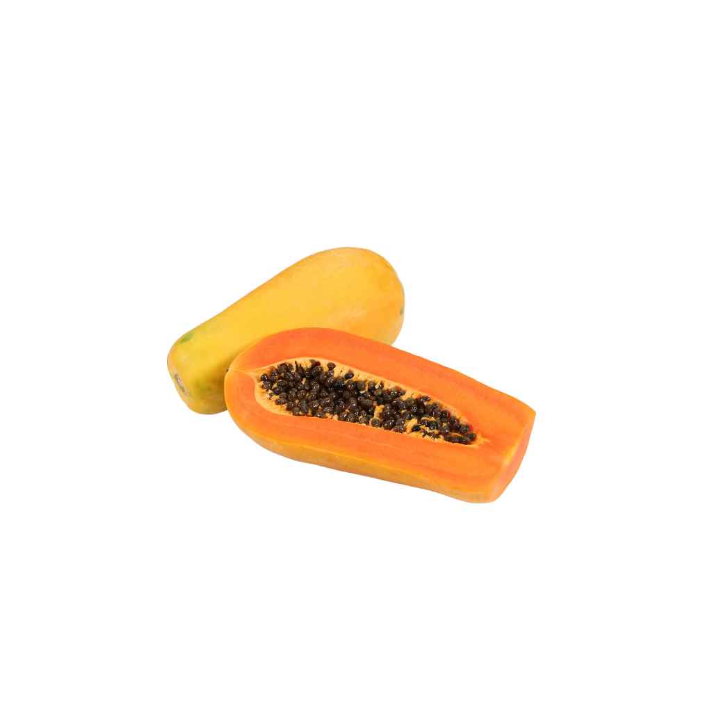بابايا كبير [ قطعه ]