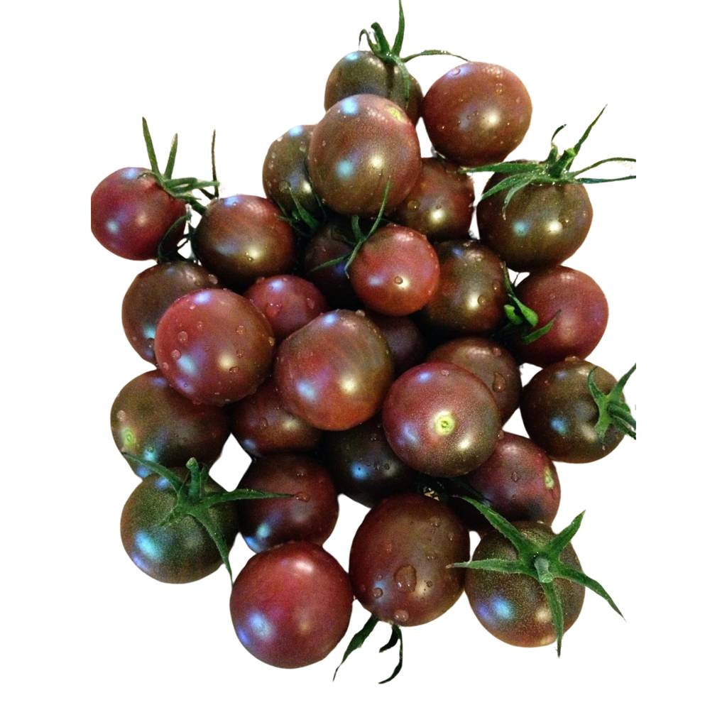 Chocolate Cherry Tomato [ 500g ]