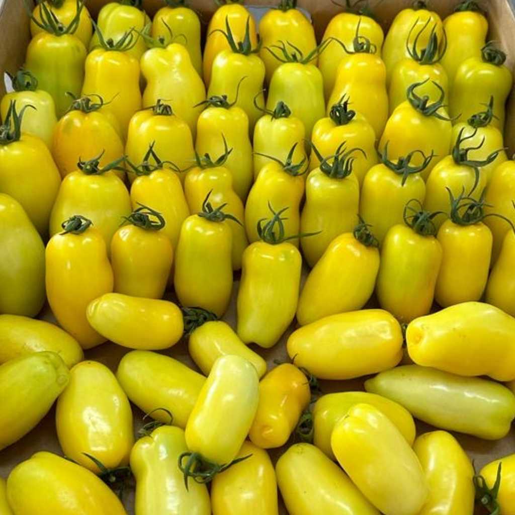 Low Acid Tomato [ 1kg ]