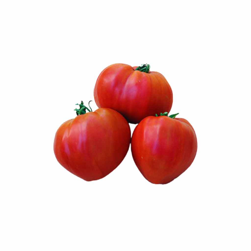 Beefsteak Tomato [ 1kg ]