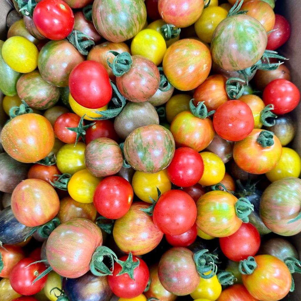 Mega Cherry Mix [ 400g ]