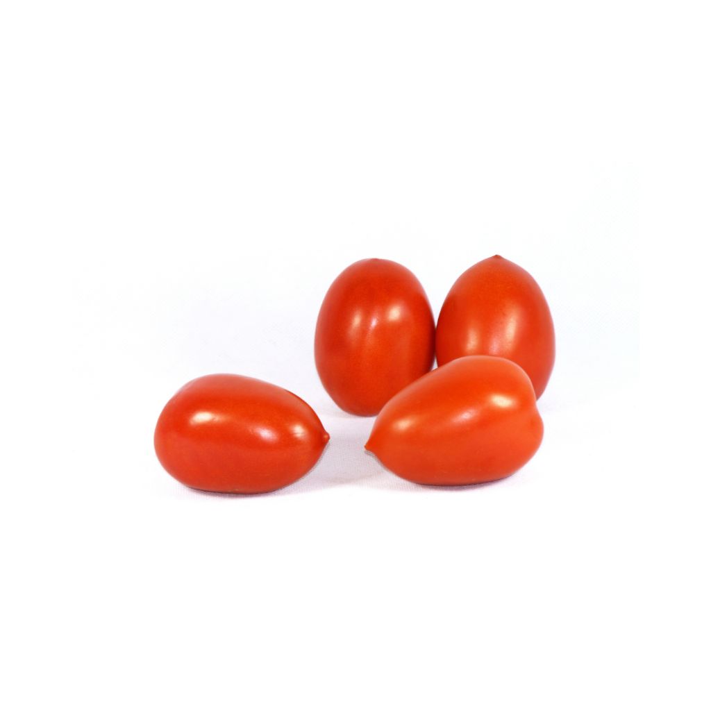 Roma Tomatoes [ 1kg ]
