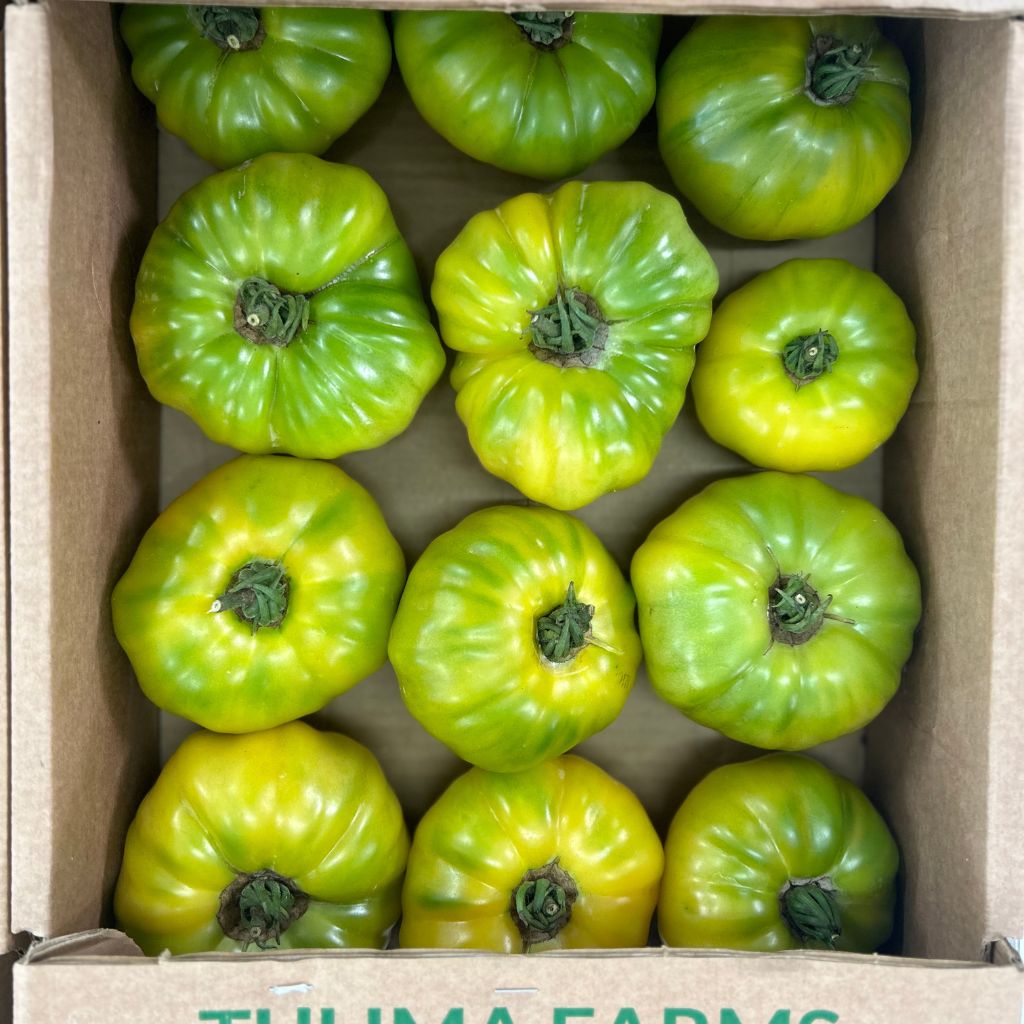 Pomodoro Verde [ 1kg ]