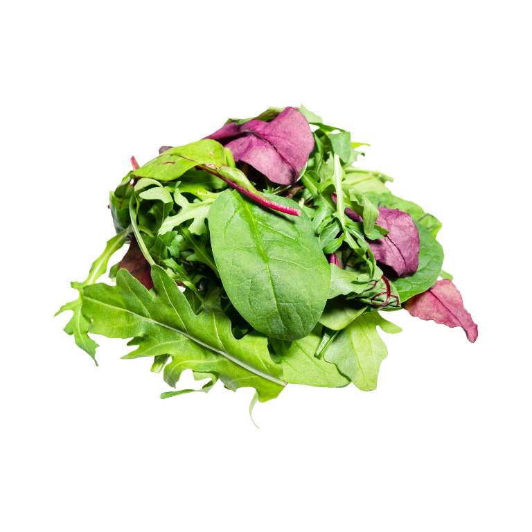 Sandwich Greens Mix [ 125g ]