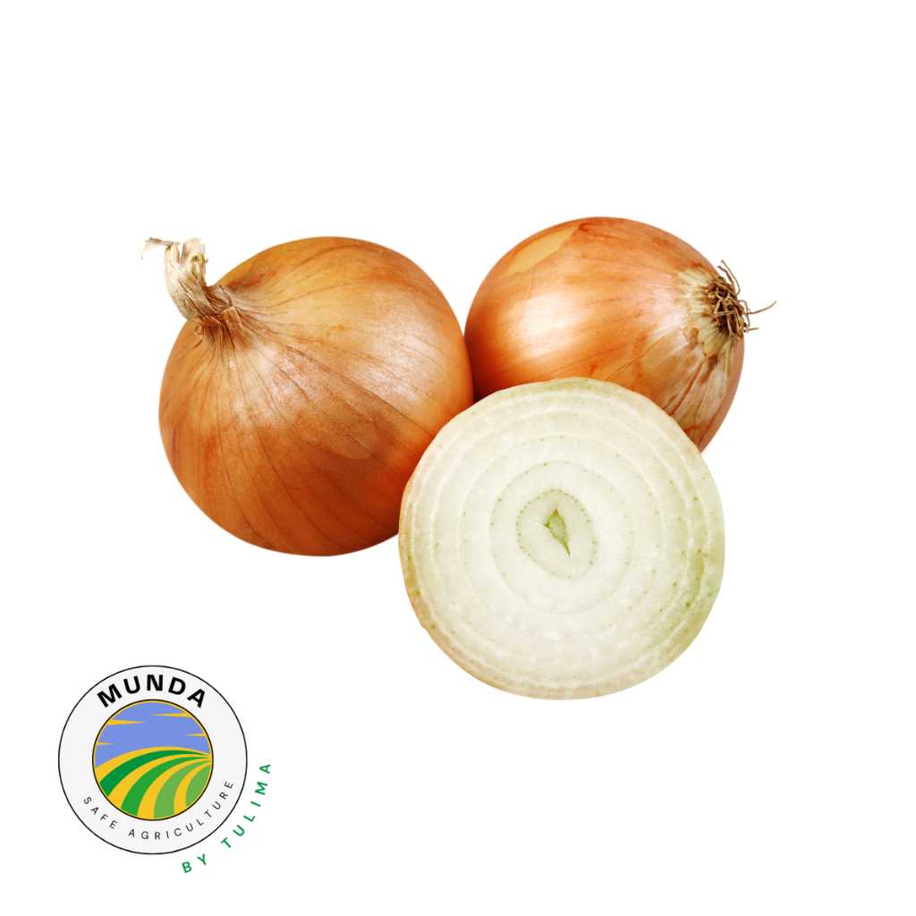 Munda Fresh Onions 2kg 