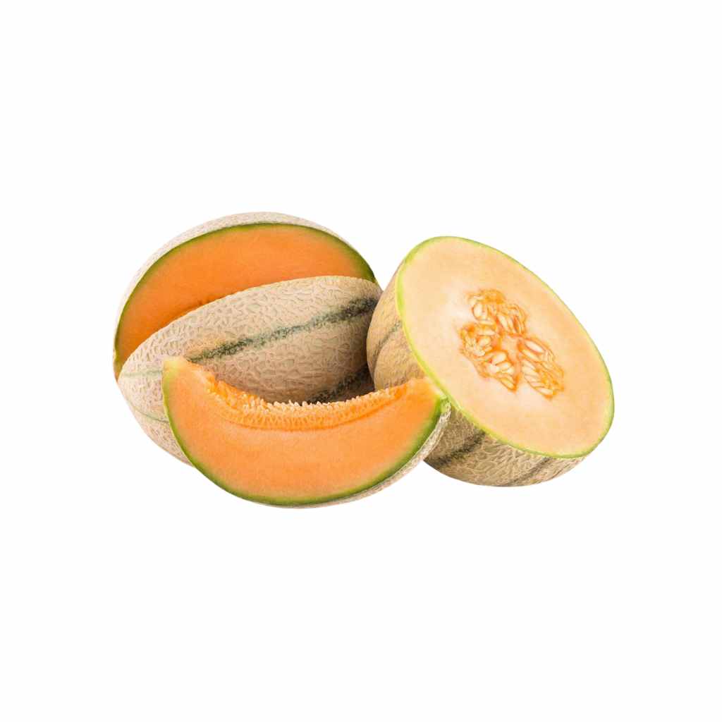 Munda Sweet Melon [ Head ]