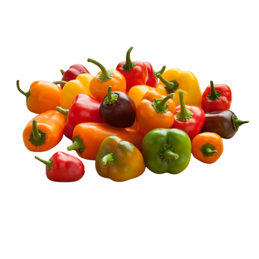 Baby Sweet Bells [ 200g ]