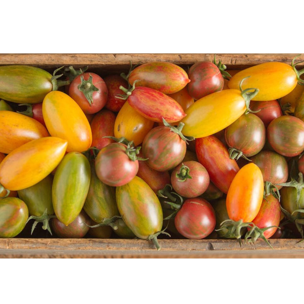 Artisan Cherry Tomato [ 400g ]