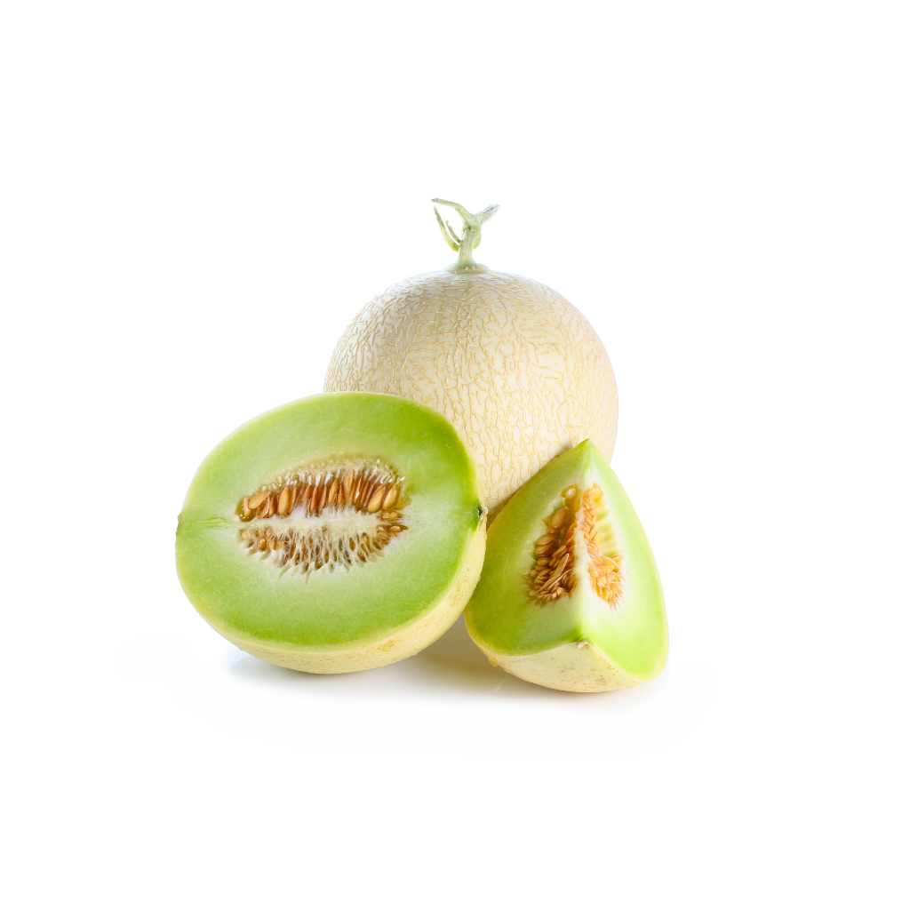 Munda Cantaloup [ Head ]