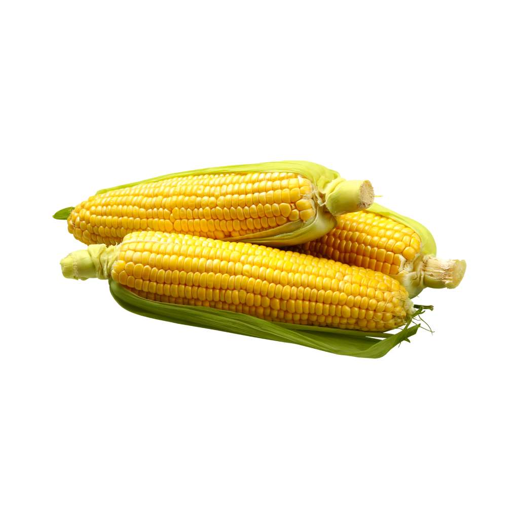 Munda Sweet Corn [ 3 Piece ]