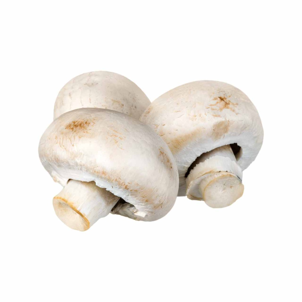 Munda Button Mushroom [ 1 Pac ]