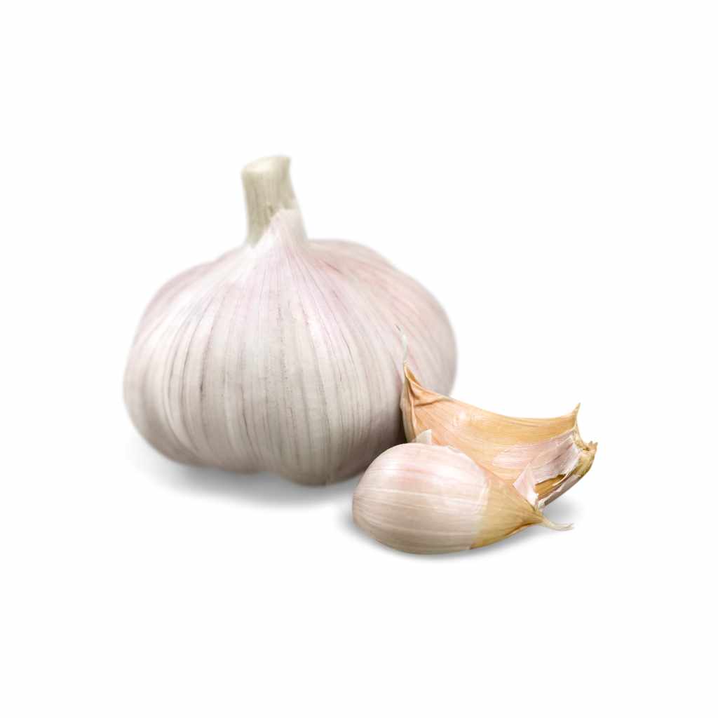 Munda Garlic [ 1 Pac ]