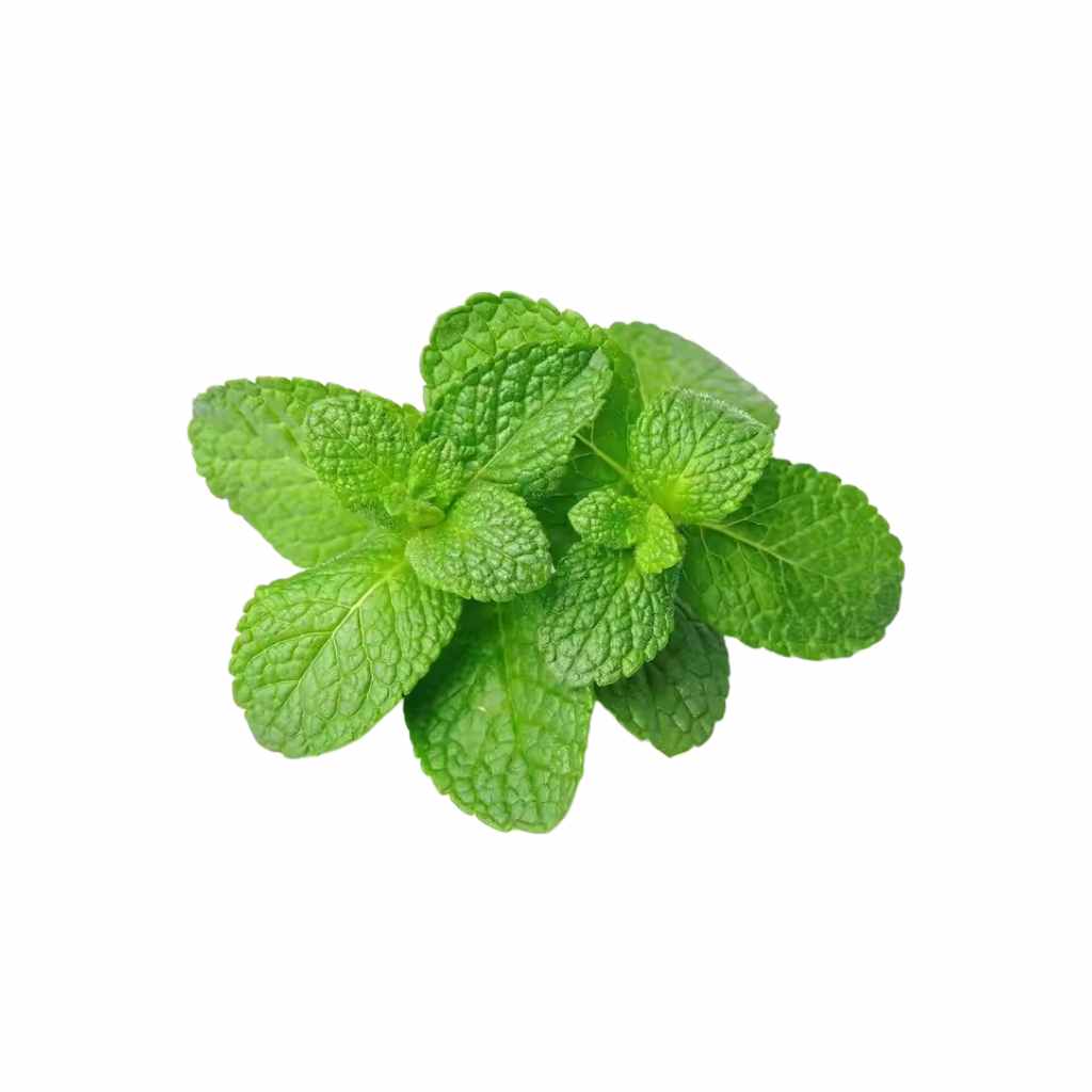 Mint [ 75g ]