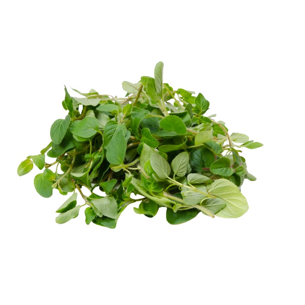 Oregano [ 50g ]
