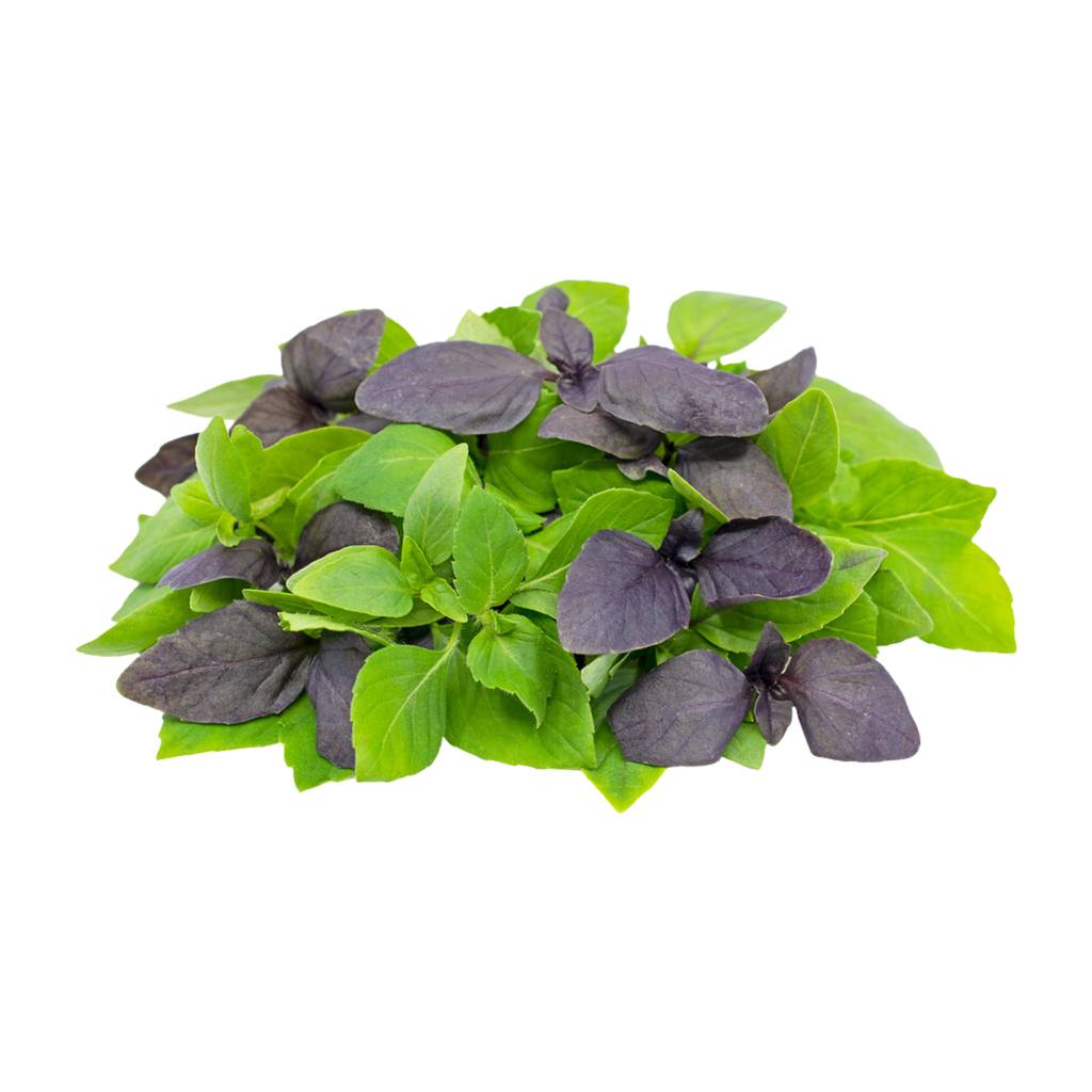 Basil Mix [ 50g ]